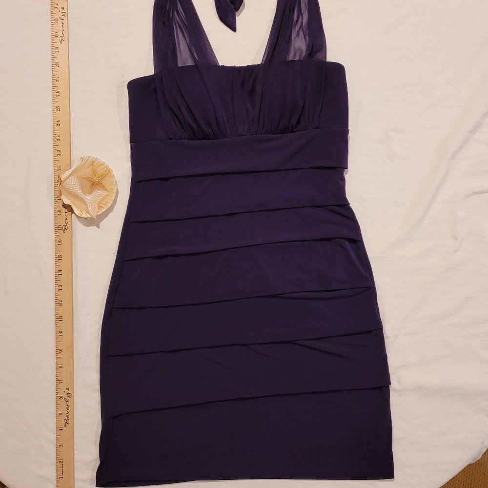 Large Purple Ruffled Dress by Sweet Storm.